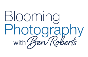 logo-full-colour-20